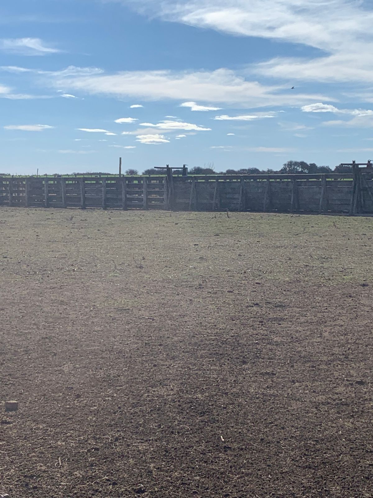 Cattle corrals at the ranch