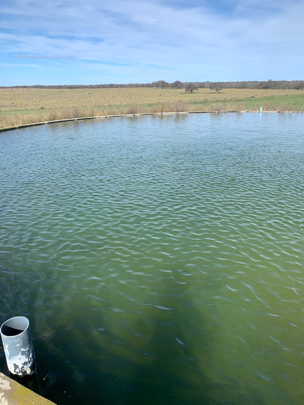 Water reservoir and surrounding land